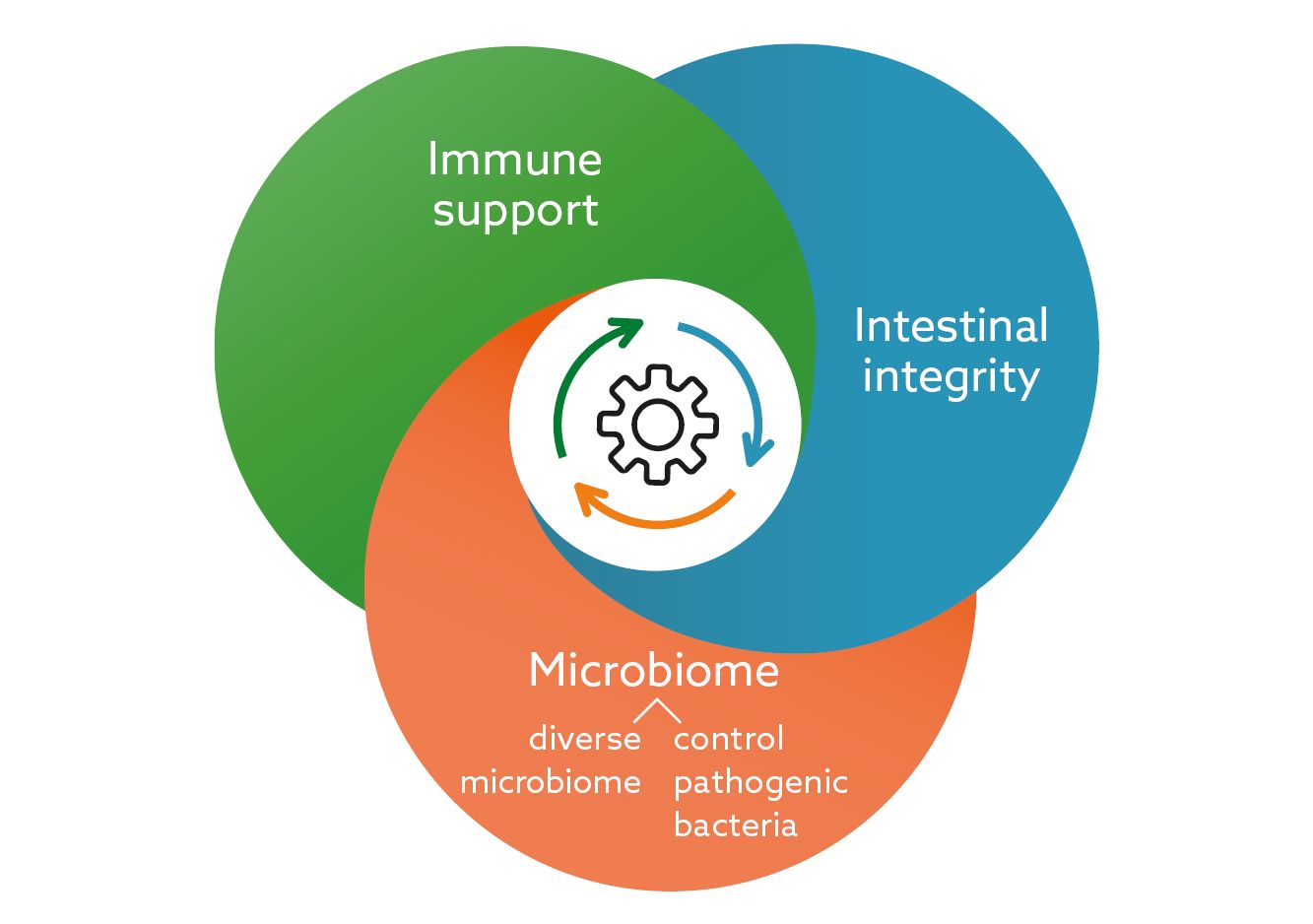 A multifactorial approach to zinc oxide (ZnO) replacement